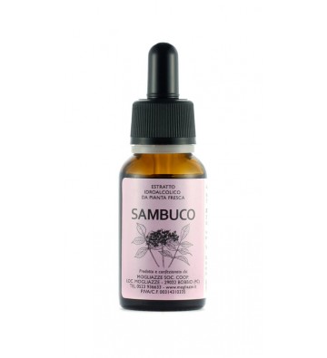 Sambuco - Tintura madre